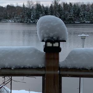 Meet your Posher, Paul